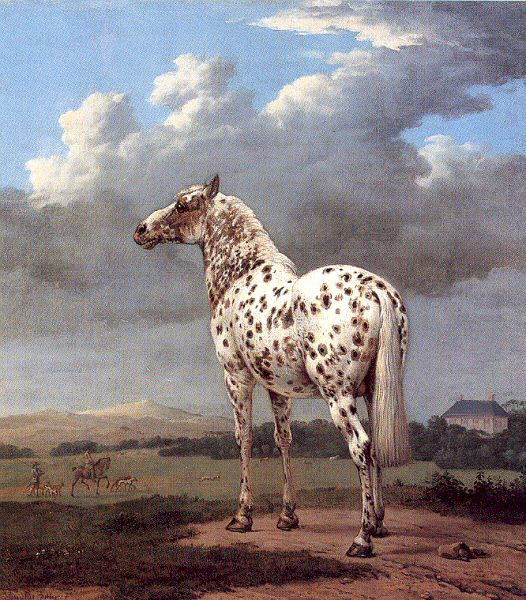 The Piebald Horse