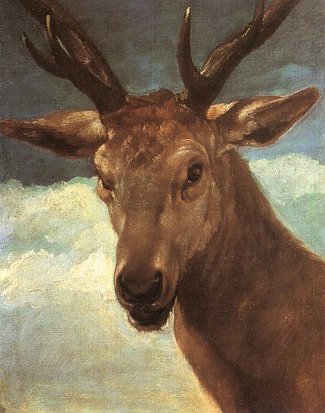 Head of a Stag