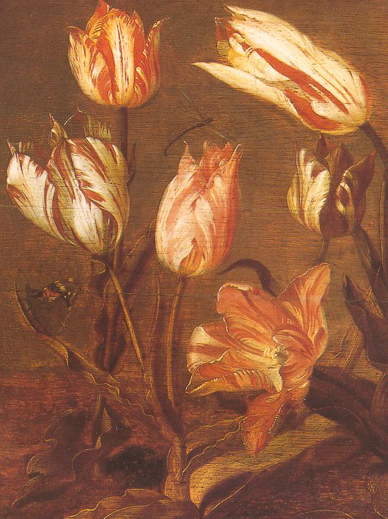 Tulip Field (detail)